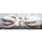 Condition vs. Age: An Expert’s Guide to Pre-Owned Rolex Watches