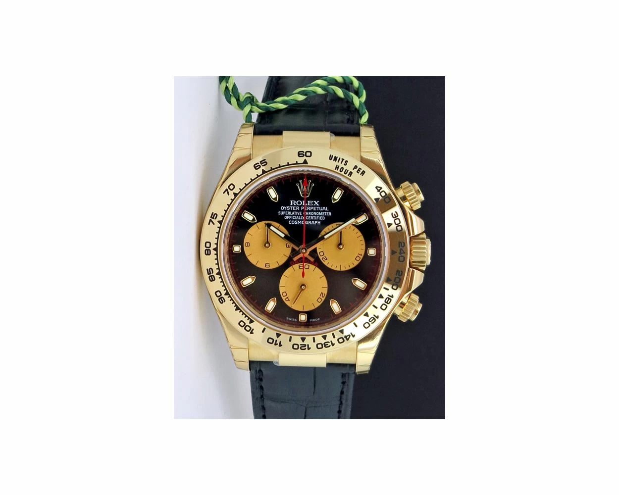 New discount paulman daytona