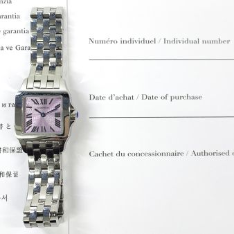 Cartier Santos Demoiselle W2510002, 'Christmas Limited Edition', 28mm x 22mm, Steel, Purple Roman, Box & Papers