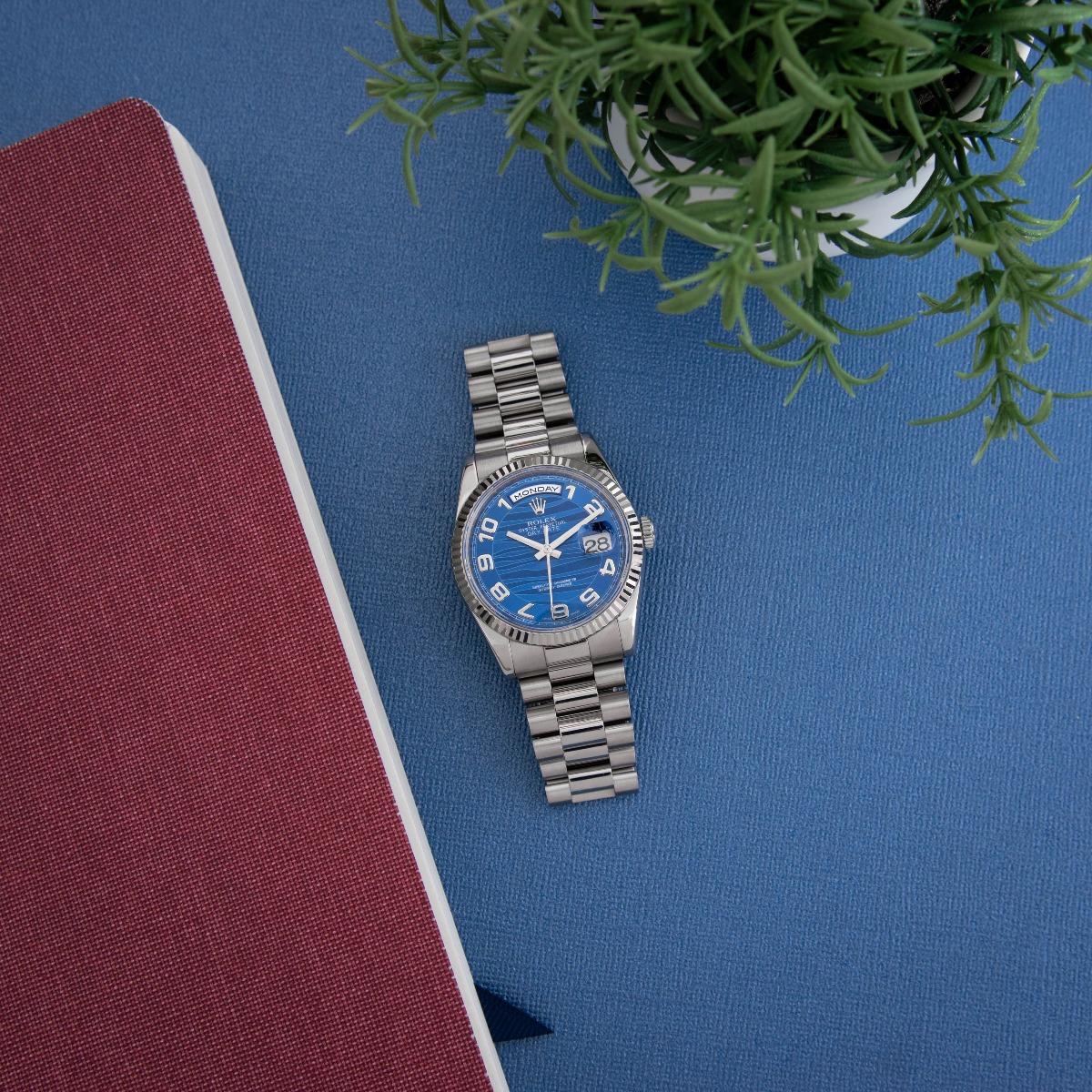 rolex_day-