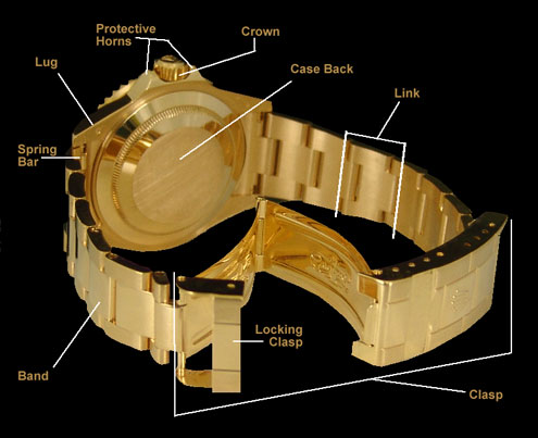 Diagram of Back of Rolex Swiss Watch