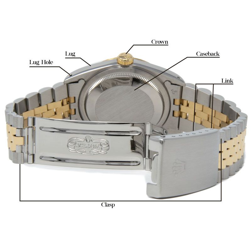A diagram of the back of a Rolex Datejust 36 16233 Wristwatch