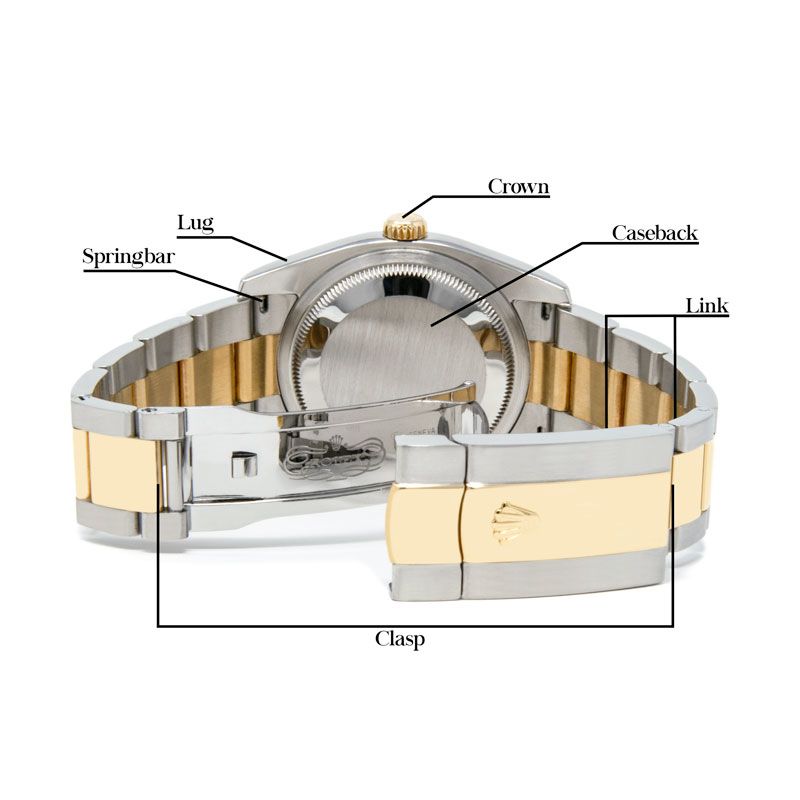 A diagram of the back of a Rolex Datejust 36 116233 Wristwatch