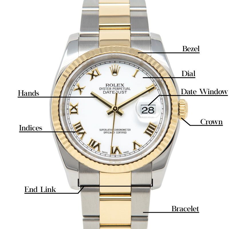 A diagram of the case of the Rolex Datejust 36 116233