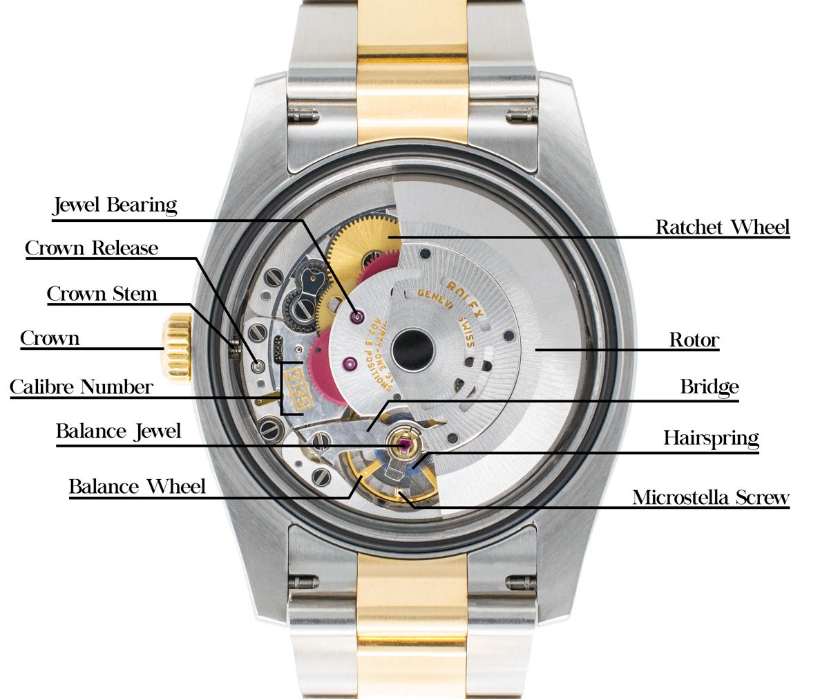 A Diagram of the Rolex Datejust 36 116233 Movement