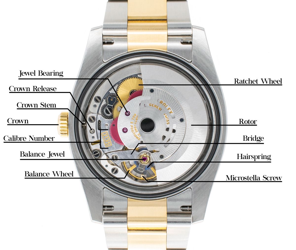 Rolex Datejust Diagram: A Comprehensive Visual Guide – The Watch Prestige